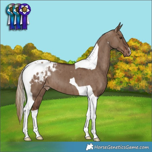 Horse Color:Liver Red Dun Tobiano Varnish Brindle 