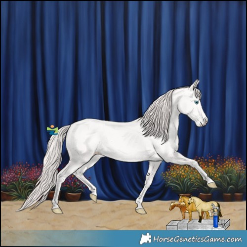 Horse Color:Smoky Creme