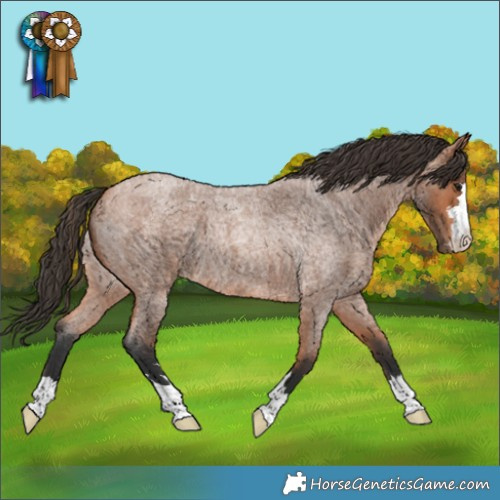Horse Color:Bay Roan