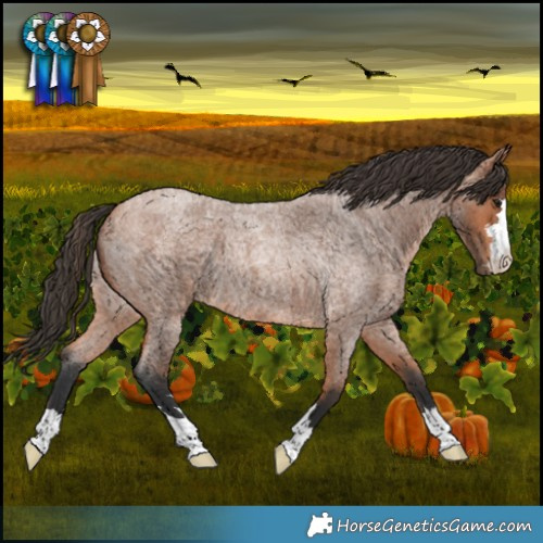 Horse Color:Bay Roan 