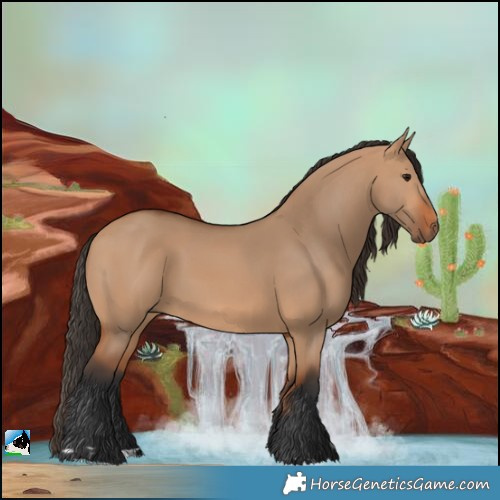 Horse Color:Bay Dun