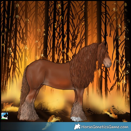 Horse Color:Chestnut 