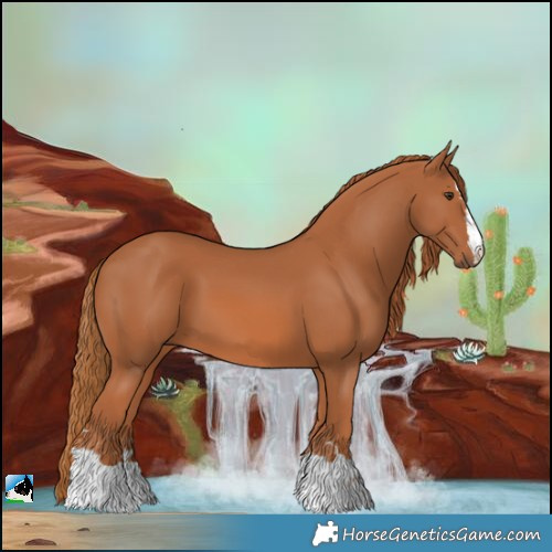 Horse Color:Chestnut 