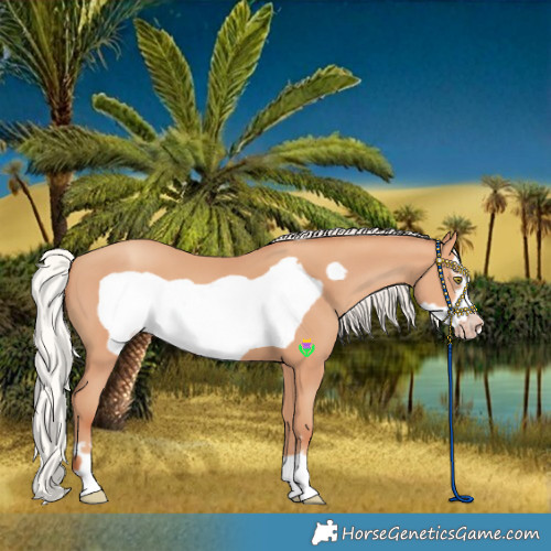 Horse Color:Silver Amber Champagne Frame 