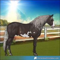 Horse Color:Silver Brown Frame 