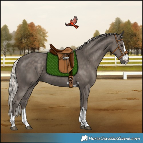 Horse Color:Silver Black 