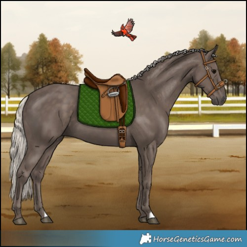 Horse Color:Silver Black 