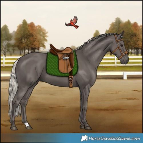 Horse Color:Silver Black 
