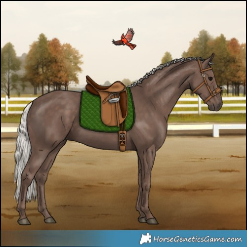 Horse Color:Silver Black 