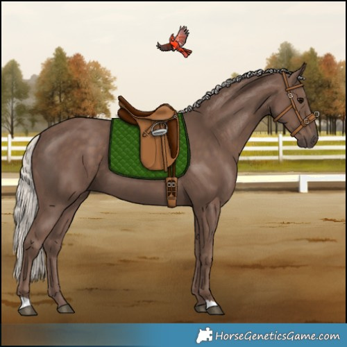 Horse Color:Silver Black 