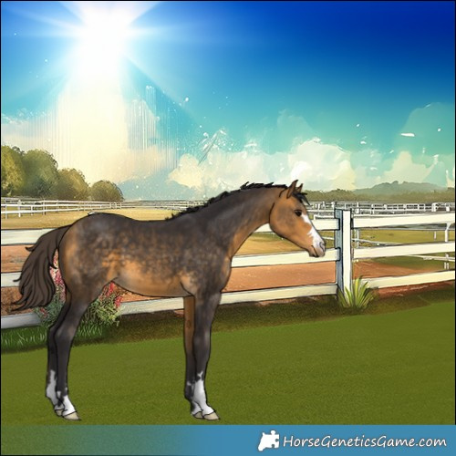 Horse Color:Unknown 