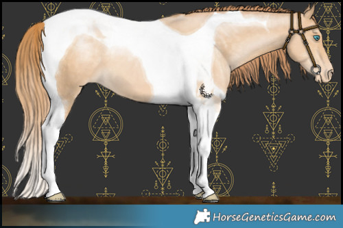 Horse Color:Buckskin Pearl Tobiano Varnish 