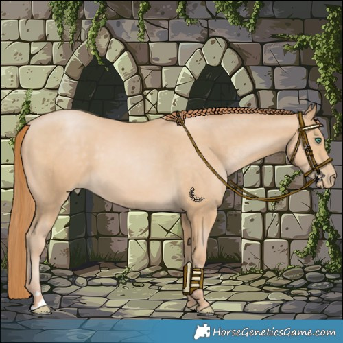 Horse Color:Smoky Black Pearl