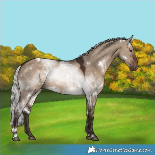 Horse Color:White Spotted Silver Brown Dun
