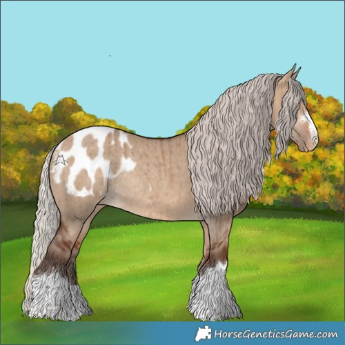 Horse Color:Silver Bay Dun Blanket Rabicano Brindle 