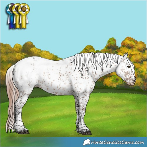 Horse Color:Liver Red Dun Sabino Appaloosa Rabicano 