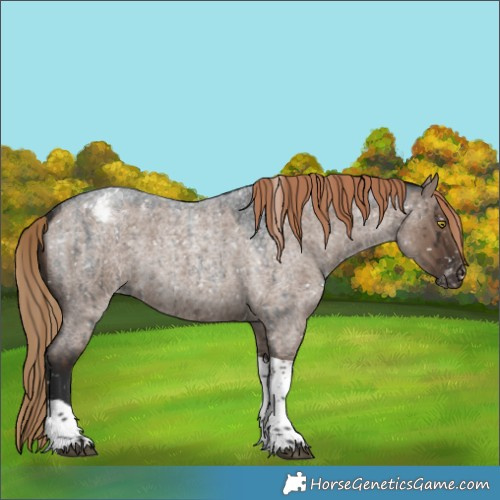 Horse Color:Liver Red Dun Roan Tobiano Appaloosa Rabicano Brindle 
