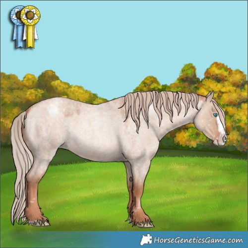 Horse Color:Gold Champagne Roan Dun Splash Appaloosa Rabicano