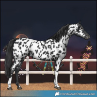 Horse Color:Black Tobiano Near Leopard