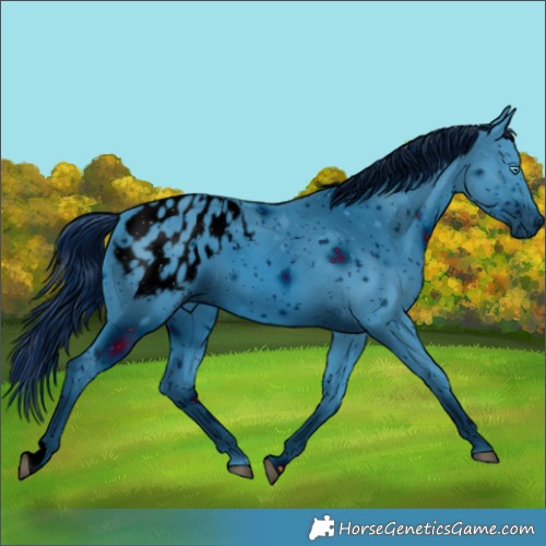 Horse Color:ERROR: UNKNOWN ANOMALY