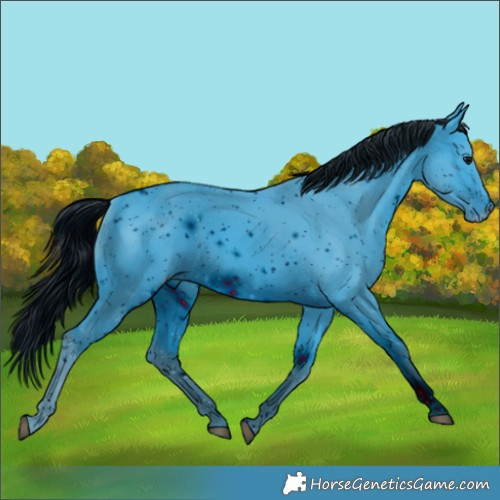 Horse Color:ERROR: UNKNOWN ANOMALY