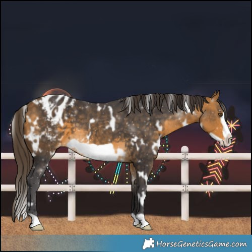 Horse Color:White Spotted Buckskin Frame Varnish 