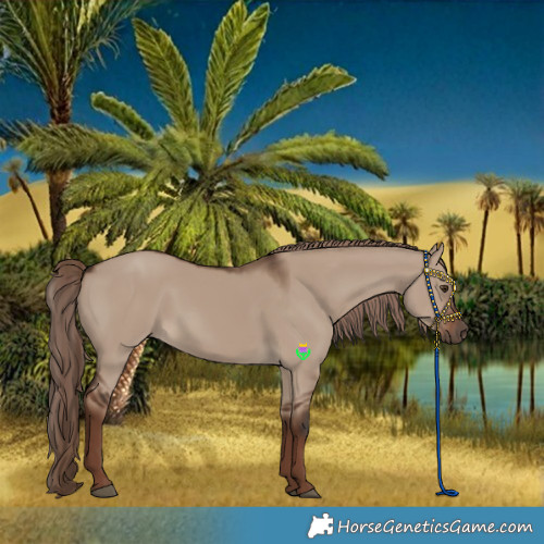 Horse Color:Liver Red Dun Rabicano