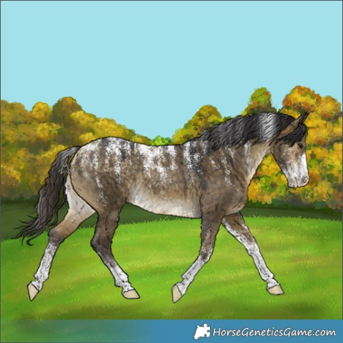Horse Color:Powder White Buckskin Dun Rabicano Brindle