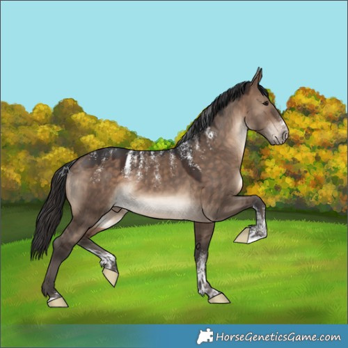 Horse Color:Powder White Brown Dun