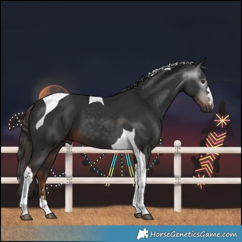 Horse Color:Gray Liver Chestnut Tobiano