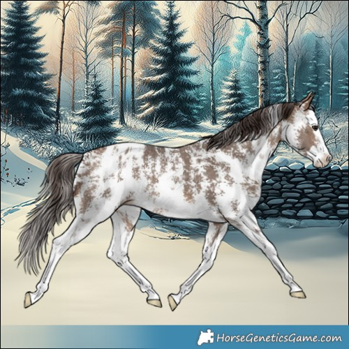 Horse Color:Brown Dun Sabino Splash Varnish 