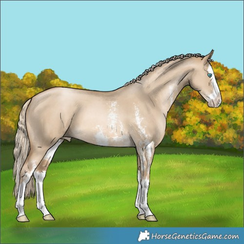 Horse Color:Chocolate Palomino Pearl Dun Sabino Splash