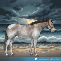 Horse Color:White Spotted Liver Red Dun Tobiano