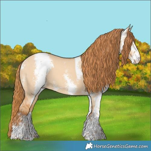 Horse Color:Red Dun Sabino 