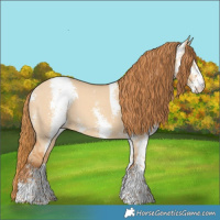 Horse Color:Red Dun Sabino