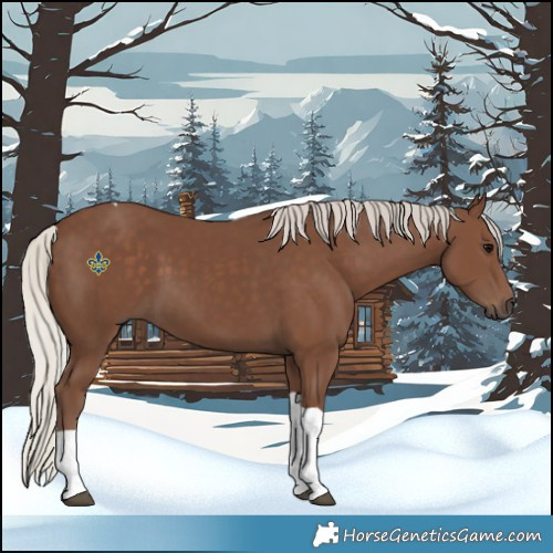 Horse Color:Silver Black Tobiano 