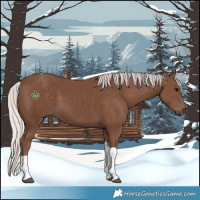 Horse Color:Silver Black Tobiano 