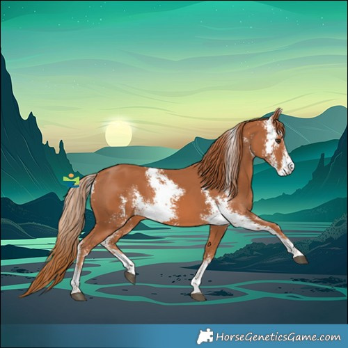 Horse Color:Chestnut Sabino
