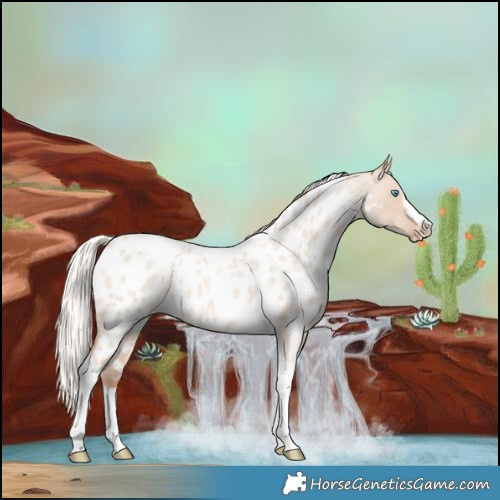 Horse Color:Silver Classic Champagne Roan Dun Splash Tobiano Frame Near Leopard Rabicano 