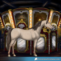 Horse Color:Classic Champagne Dun 