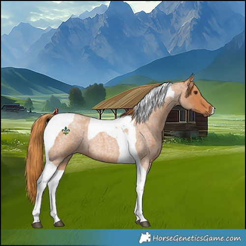 Horse Color:Red Roan Tobiano 