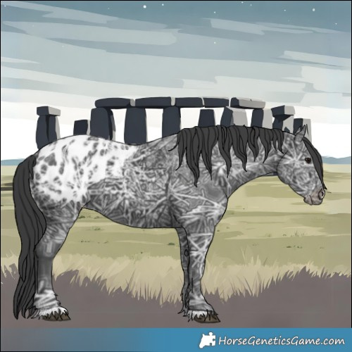 Horse Color:Black Ice Blanket
