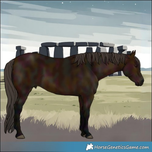 Horse Color:Midnight Bay 