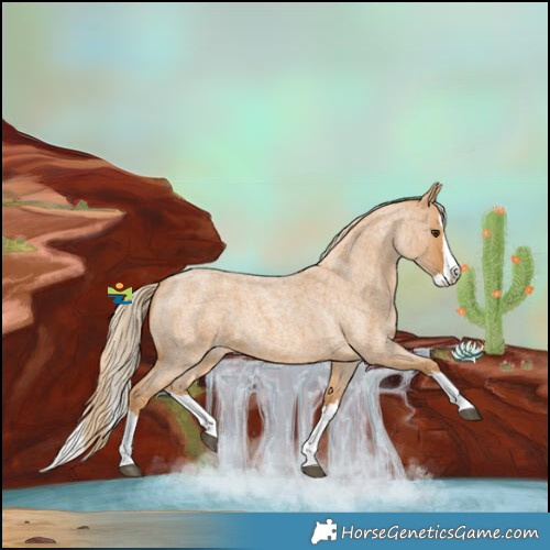 Horse Color:Red Roan Splash