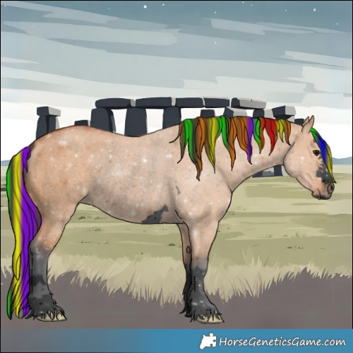 Horse Color:Void Painted Bay Dun Rabicano