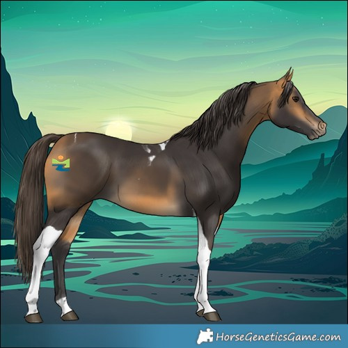 Horse Color:Buckskin Tobiano 