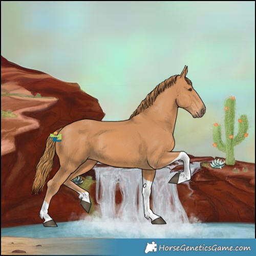 Horse Color:Chestnut Tobiano 