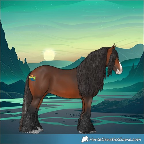Horse Color:Bay Splash
