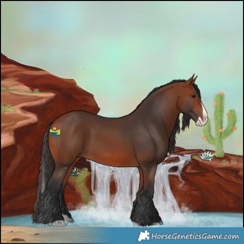 Horse Color:Bay Splash