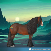 Horse Color:Bay Splash 